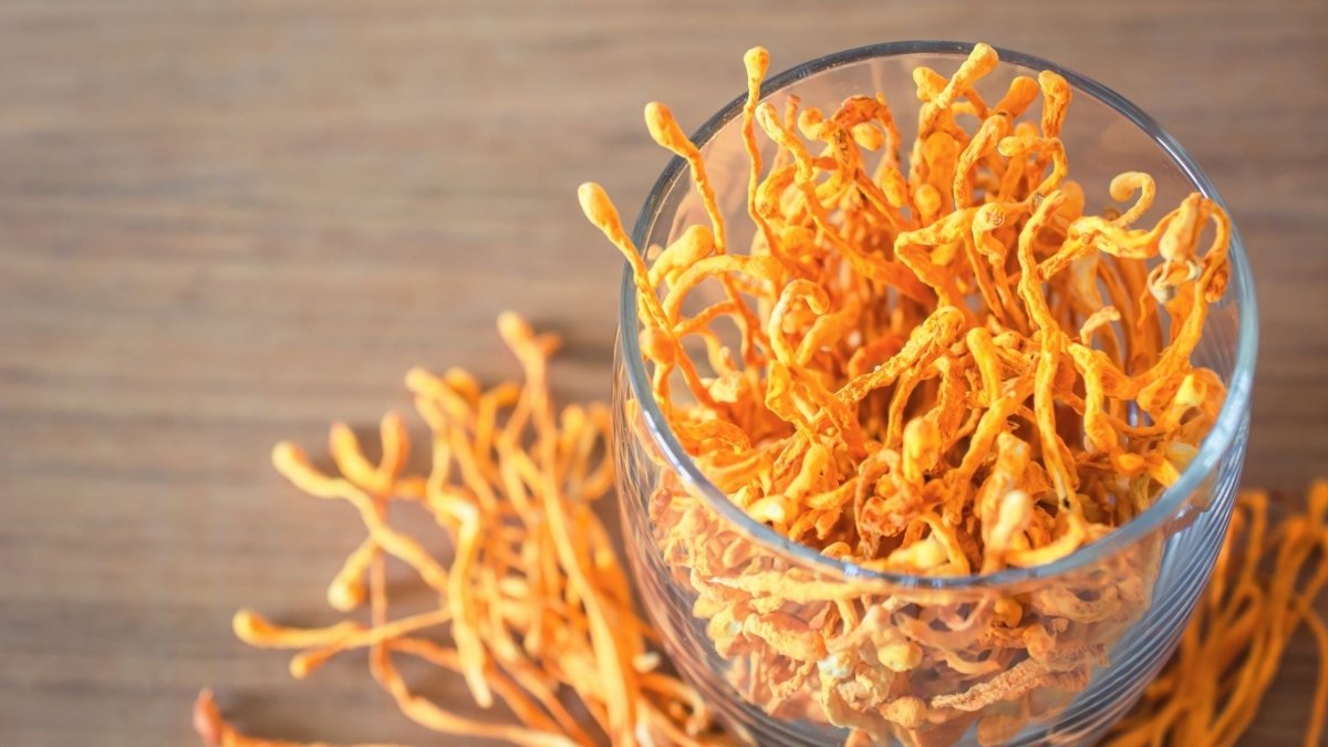 Are Cordyceps Good for High Blood Pressure? - DrinkVyu
