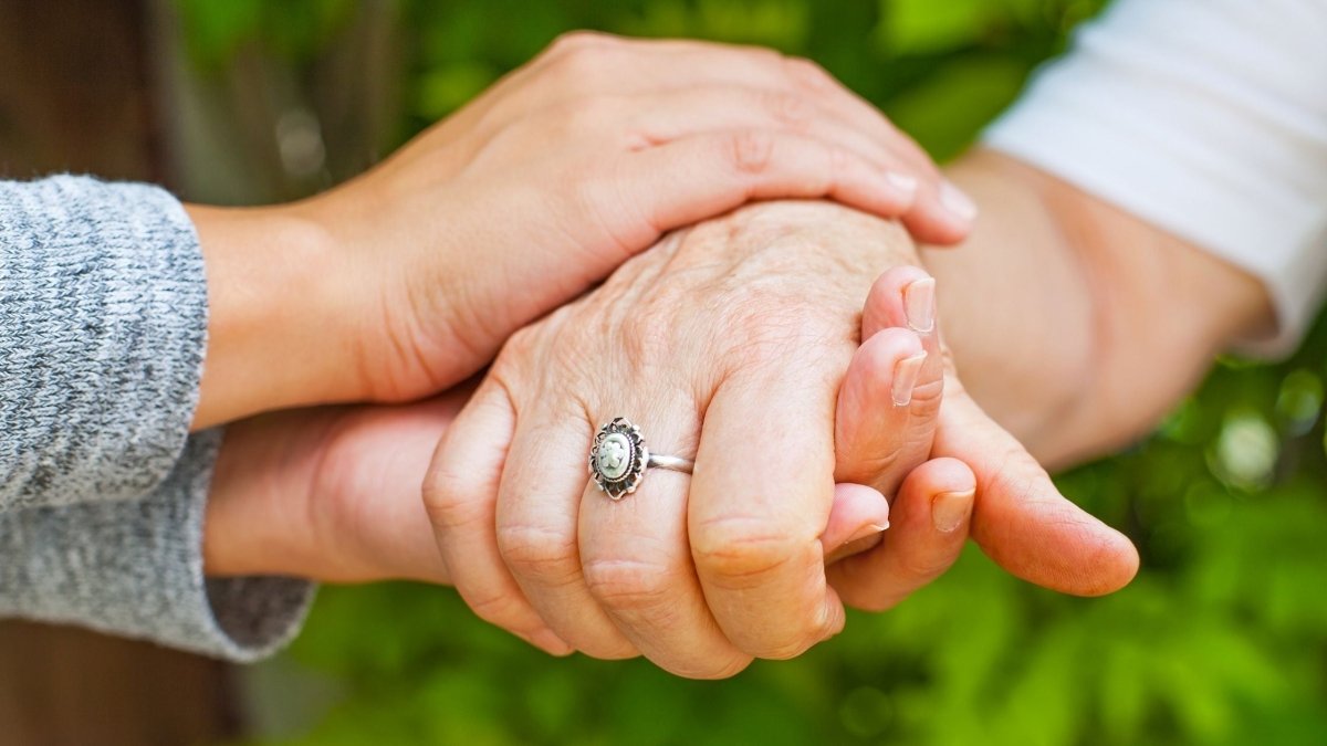 Best Mushroom for Parkinson's Disease - DrinkVyu
