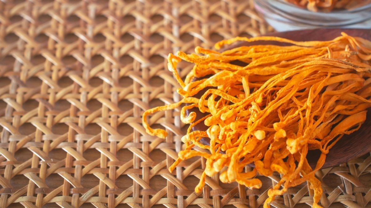 Cordyceps Benefits for Females - DrinkVyu
