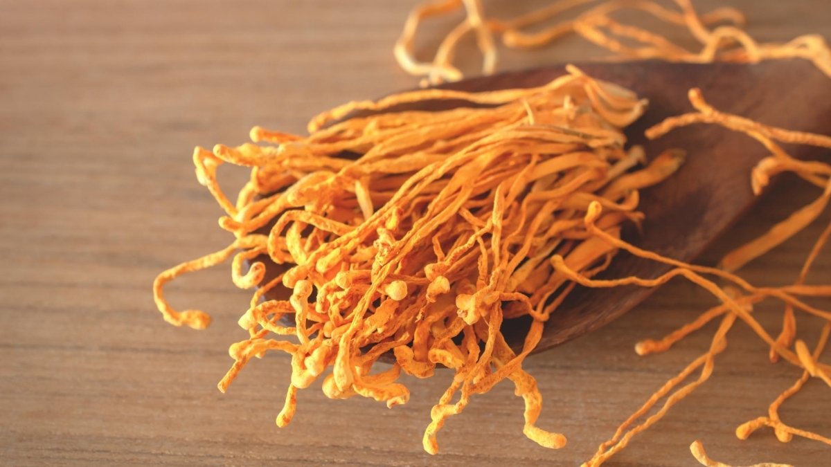 Cordyceps Pre-Workout - DrinkVyu