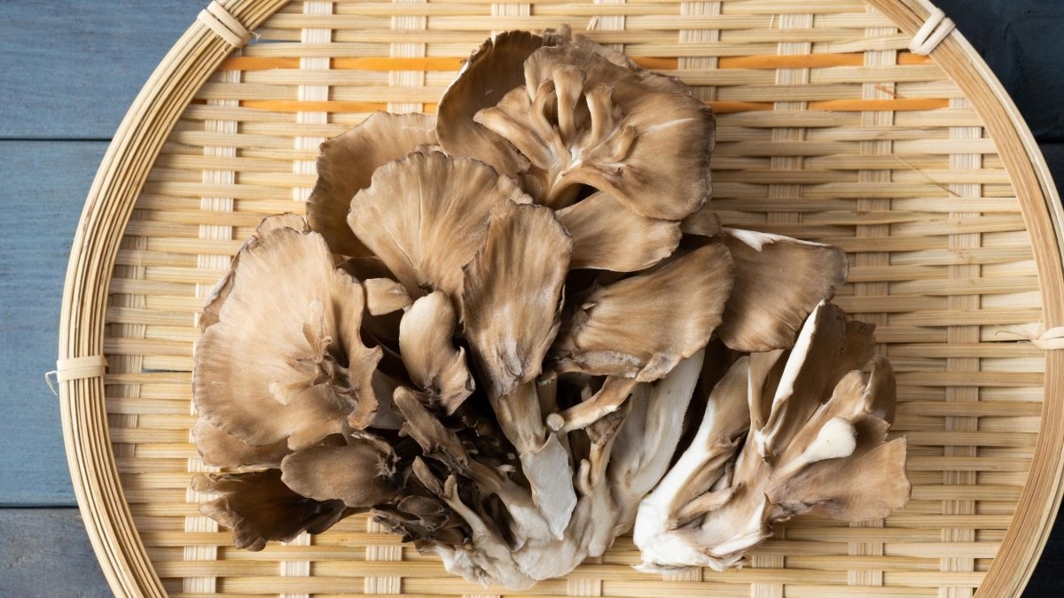 How to Preserve Maitake Mushrooms - DrinkVyu