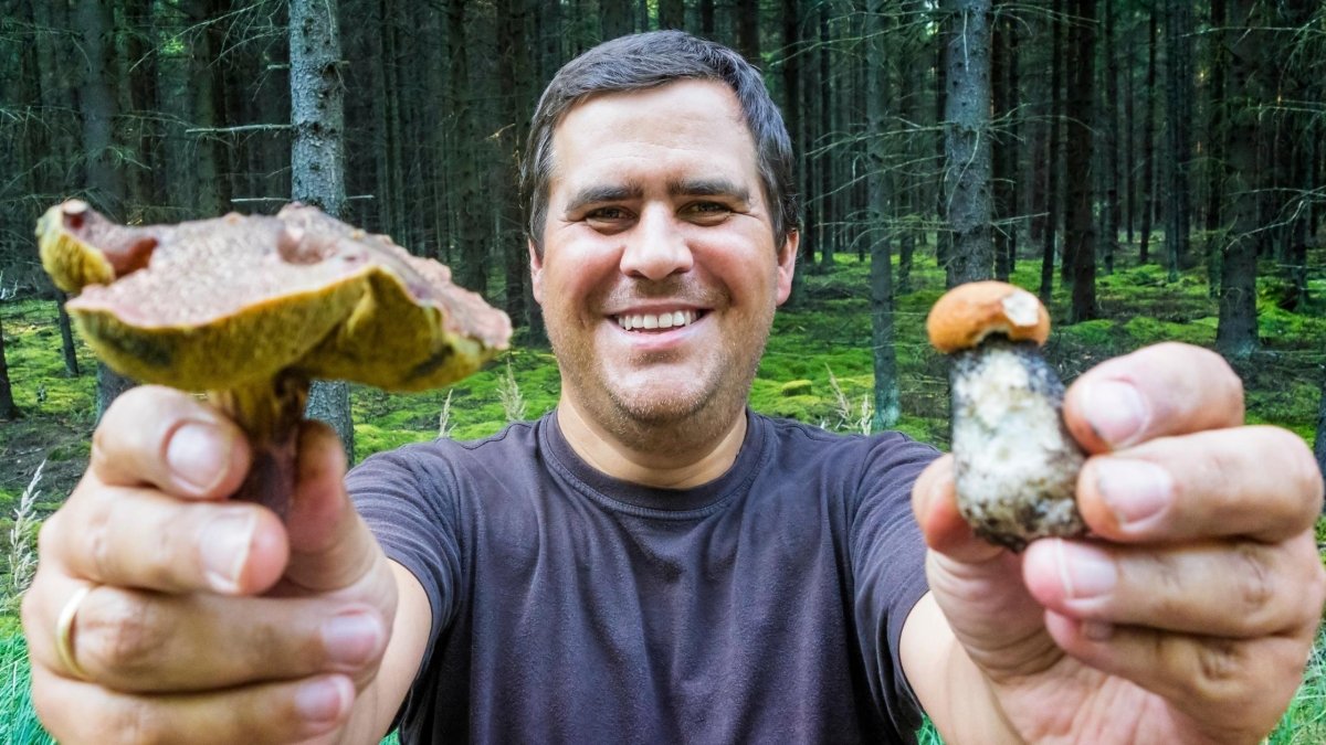 Mushroom Benefits for Men - DrinkVyu