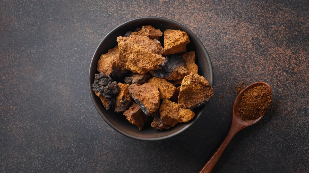 Chaga Benefits for Skin - DrinkVyu