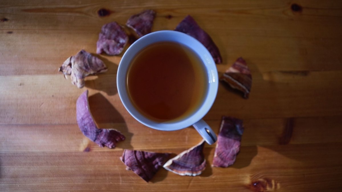 Does Reishi Make You Sleepy? - DrinkVyu