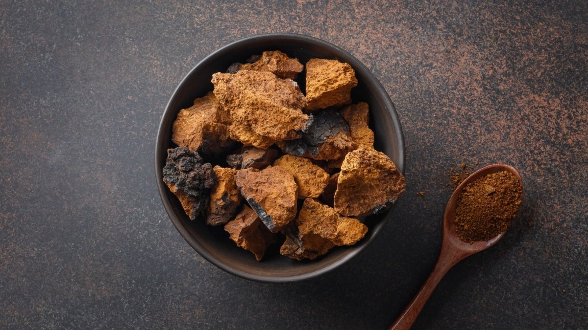 How to Consume Chaga Powder - DrinkVyu