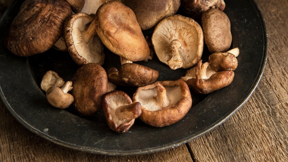 What are the Benefits of Shiitake Mushrooms - DrinkVyu